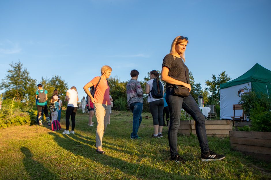 Naktinės drugelių paieškos Šilainiuose