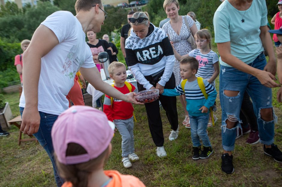 Naktinės drugelių paieškos Šilainiuose