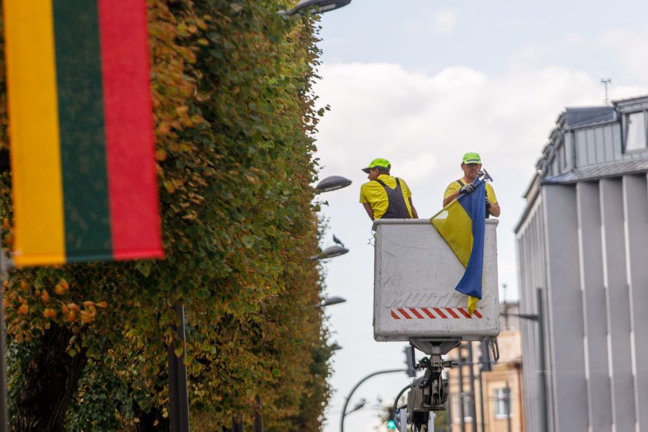 Kauno dėmesys Ukrainai: Laisvės alėjoje iškabintos vėliavos, bus ir meninė instaliacija