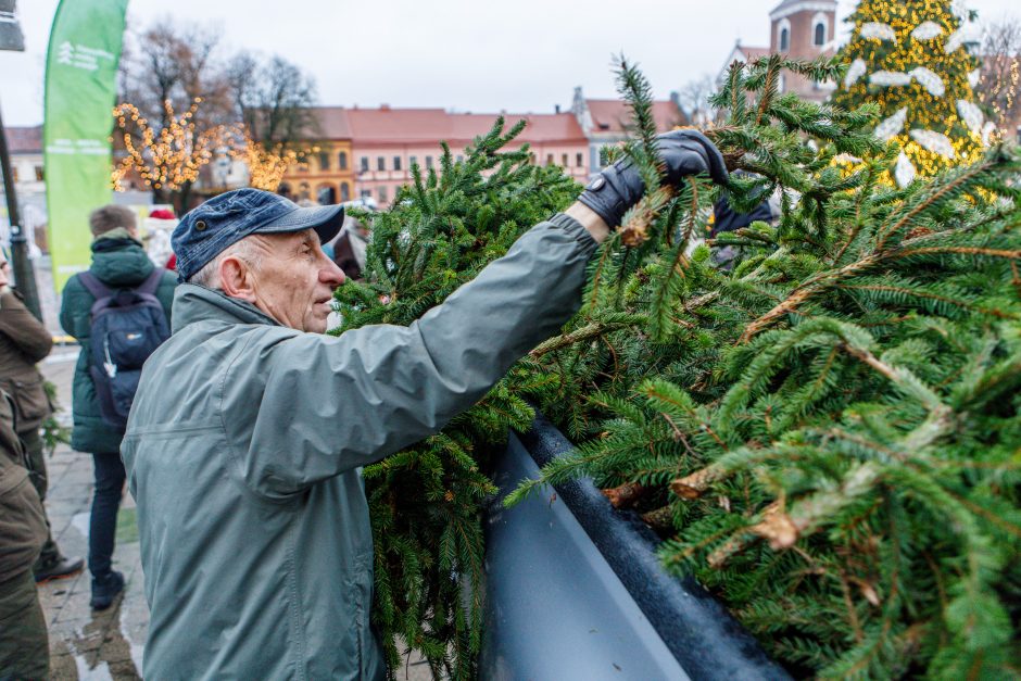 Kalėdos jau keliauja į kauniečių namus: prie nemokamų eglės šakų žmonių – kaip koncerte