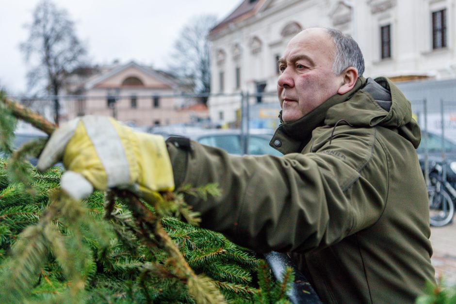 Kalėdos jau keliauja į kauniečių namus: prie nemokamų eglės šakų žmonių – kaip koncerte