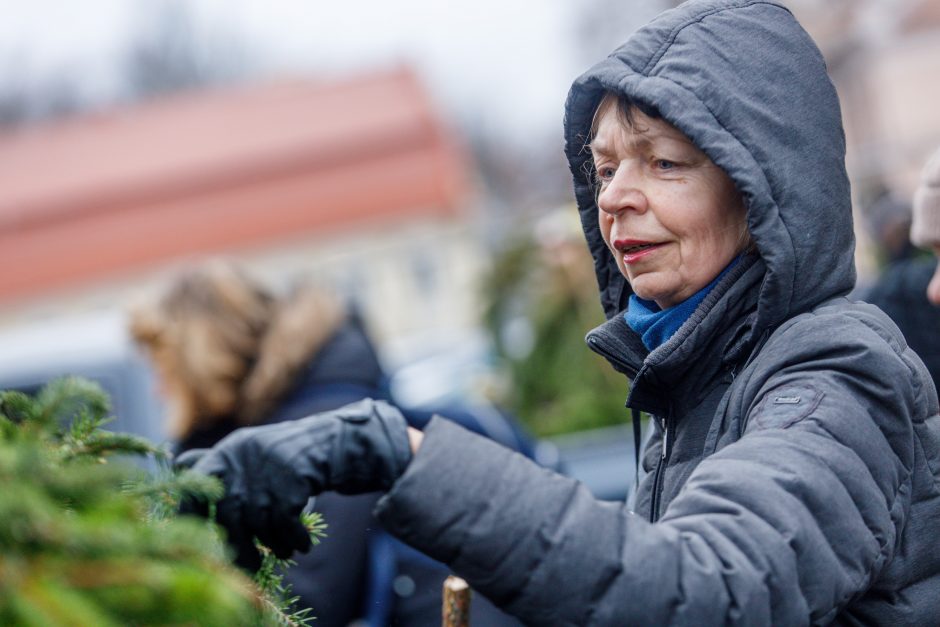 Kalėdos jau keliauja į kauniečių namus: prie nemokamų eglės šakų žmonių – kaip koncerte