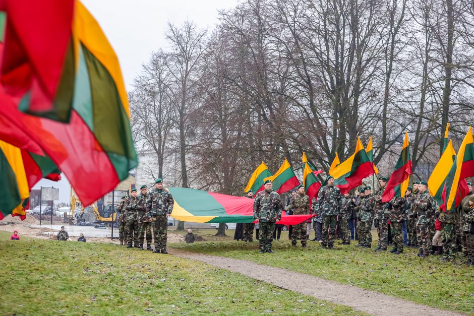 Paskutinę metų dieną ant Pelėdų kalno – nauja Trispalvė