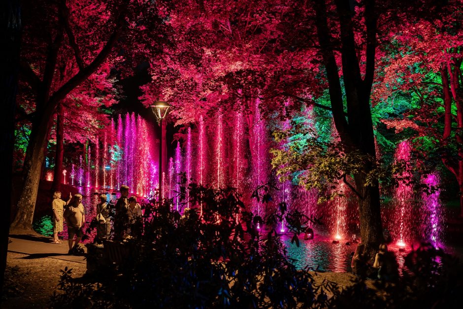 Jau šį ketvirtadienį Kaune prasideda festivalis „Botaninės naktys 2024 – Bobų vasara“