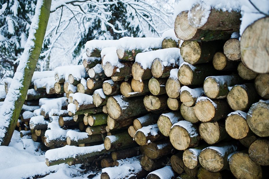 S. Gentvilas su miškų savininkais sutarė dėl pagalbos vykdant „Natura 2000“ reikalavimus