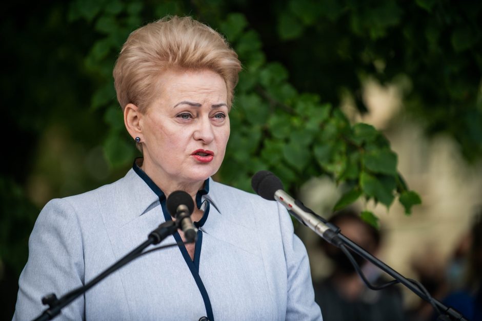 D. Grybauskaitei antrina ir ekonomistai: neturėti krizės yra beveik neįmanoma