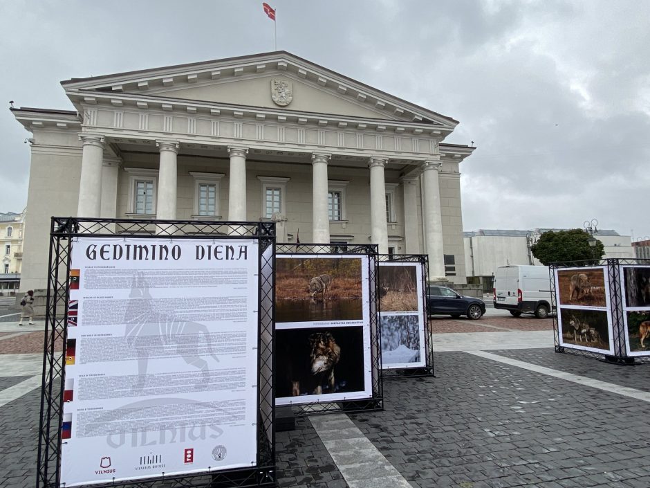 Rotušės aikštėje šimto vilkų kauksmas vakarais primins miesto įkūrimo legendą