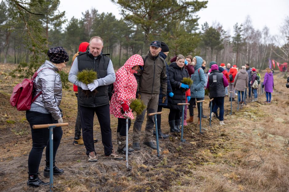 Unikali iniciatyva – bendruomenės eidamos užaugino 35 tūkst. tikrų medžių