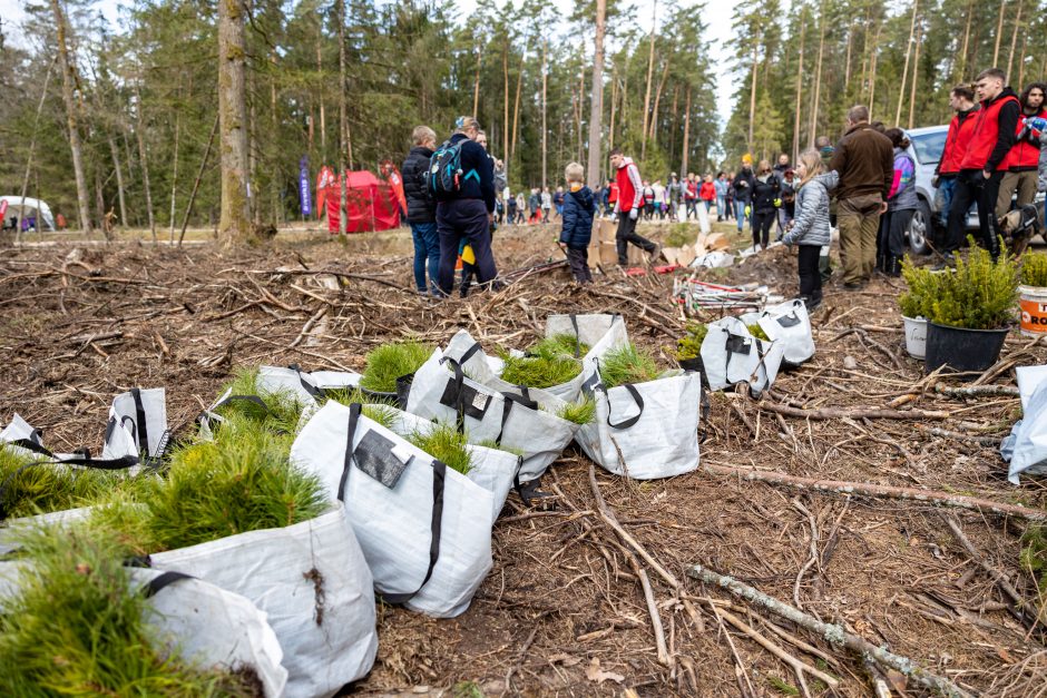 Unikali iniciatyva – bendruomenės eidamos užaugino 35 tūkst. tikrų medžių