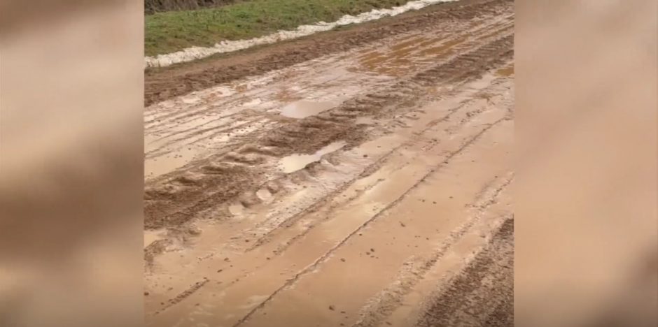 Rajonų vairuotojai siunta: pinigų keliams tvarkyti nėra, bet eglutei už tūkstančius eurų – yra?