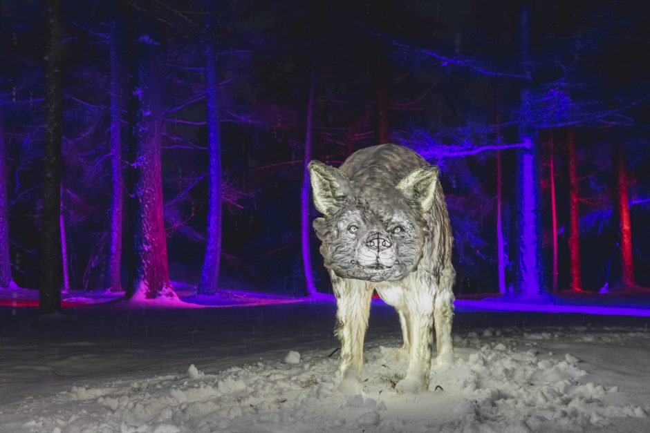 Botanikos sode – magiškas šviesų festivalis (nuotraukų galerija)