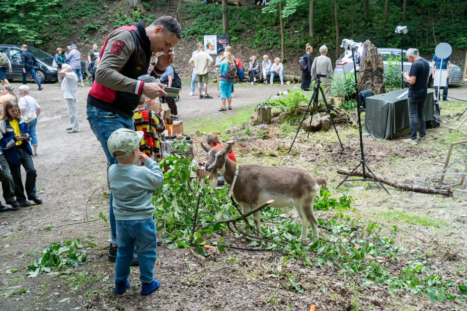 Joninės Kaune: Aleksote – šauliškai, Šančiuose – Fluxus stiliumi