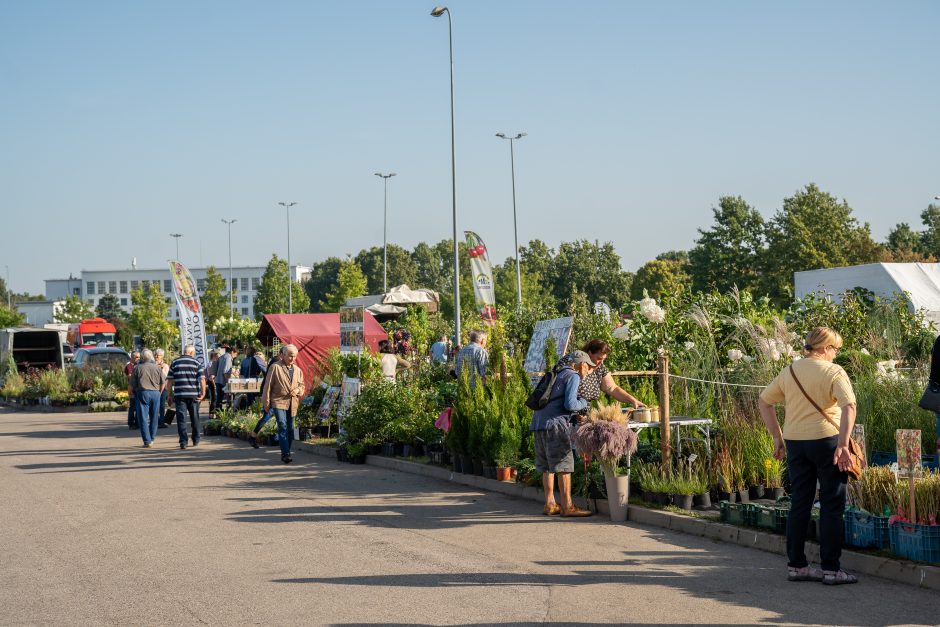 Gyvulininkystės parodoje – tūkstančiai gyvųjų eksponatų: lankymas nemokamas