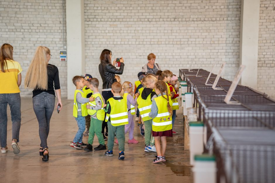 Gyvulininkystės parodoje – tūkstančiai gyvųjų eksponatų: lankymas nemokamas