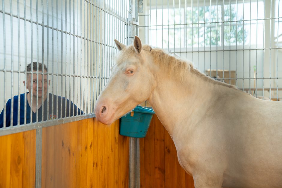 Gyvulininkystės parodoje – tūkstančiai gyvųjų eksponatų: lankymas nemokamas