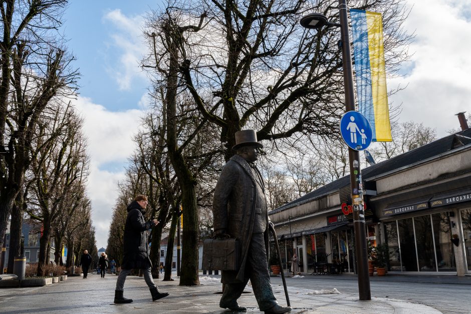 Kaunas siunčia palaikymo žinutę Ukrainai: artėjant karo metinėms Laisvės alėjoje suplazdėjo vėliavos