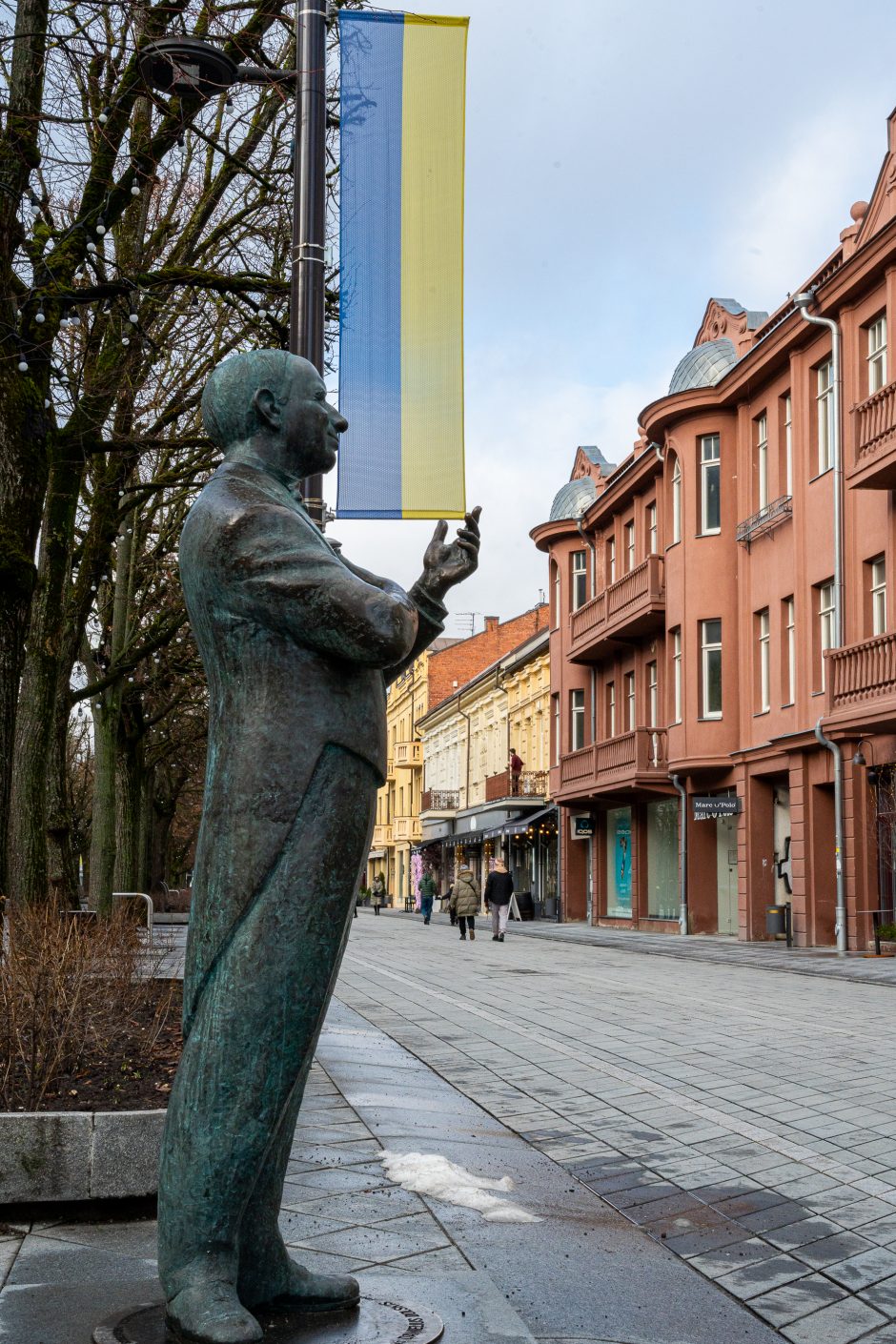 Kaunas siunčia palaikymo žinutę Ukrainai: artėjant karo metinėms Laisvės alėjoje suplazdėjo vėliavos