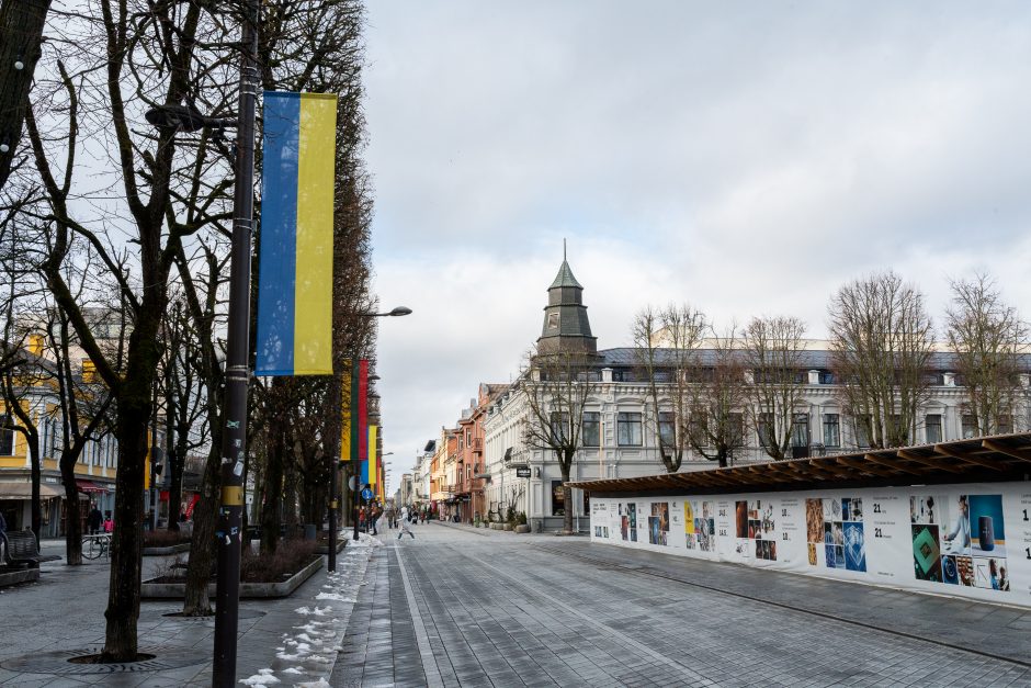 Kaunas siunčia palaikymo žinutę Ukrainai: artėjant karo metinėms Laisvės alėjoje suplazdėjo vėliavos