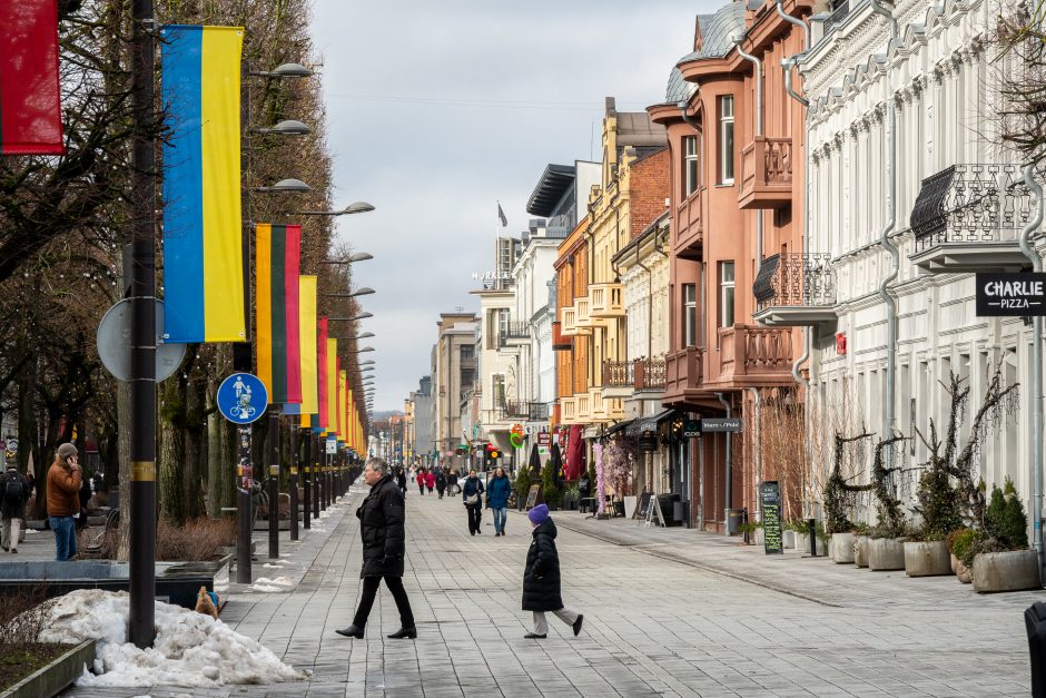 Kaunas siunčia palaikymo žinutę Ukrainai: artėjant karo metinėms Laisvės alėjoje suplazdėjo vėliavos