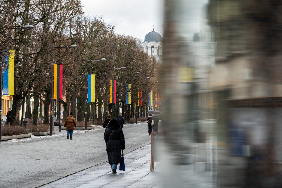 Kaunas siunčia palaikymo žinutę Ukrainai: artėjant karo metinėms Laisvės alėjoje suplazdėjo vėliavos