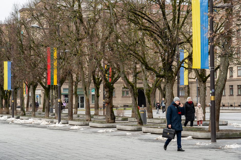 Kaunas siunčia palaikymo žinutę Ukrainai: artėjant karo metinėms Laisvės alėjoje suplazdėjo vėliavos