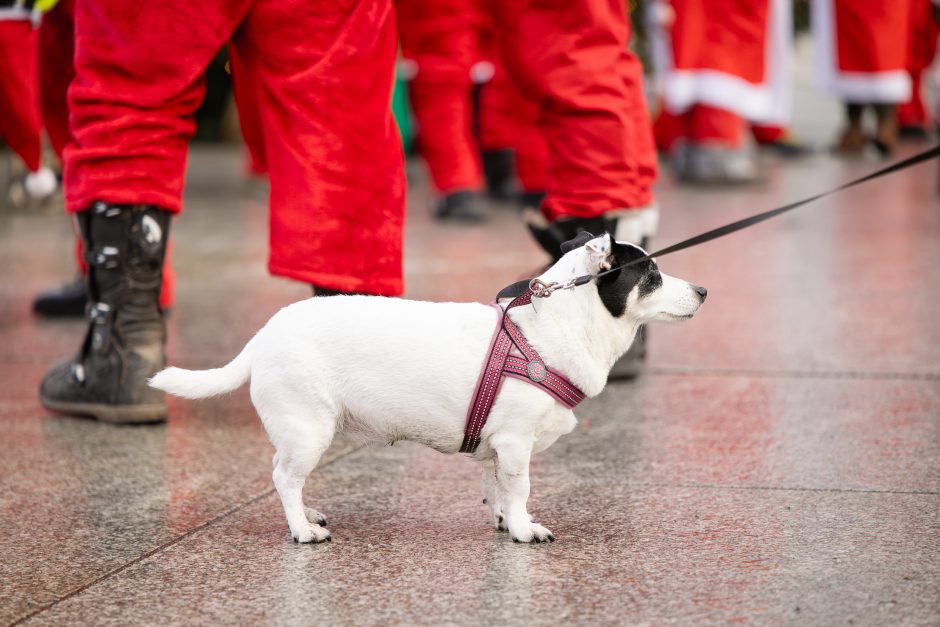 Ratuoti Kalėdų Seneliai užkimšo miesto gatves