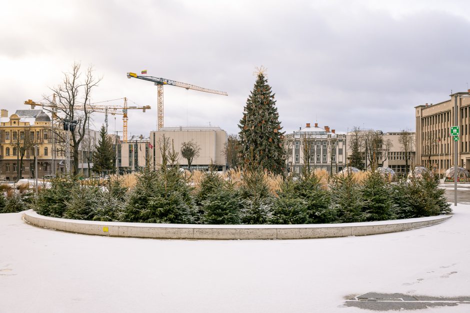 Kauno eglutė skaičiuoja paskutines dienas