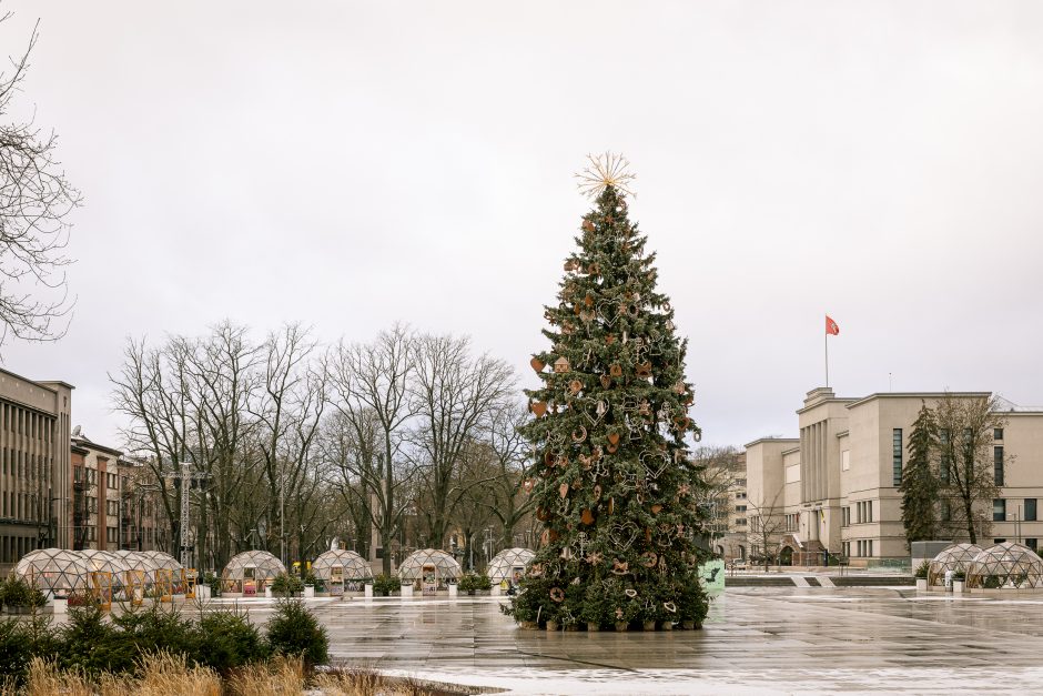 Kauno eglutė skaičiuoja paskutines dienas