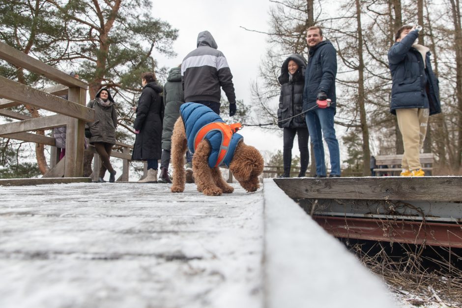 Atnaujinto Kadagių tako lankytojai: čia gražu bet kokiu oru