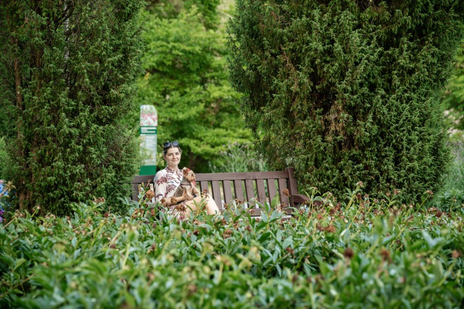 Botaninės naktys | Tropinė – drugelių naktis 