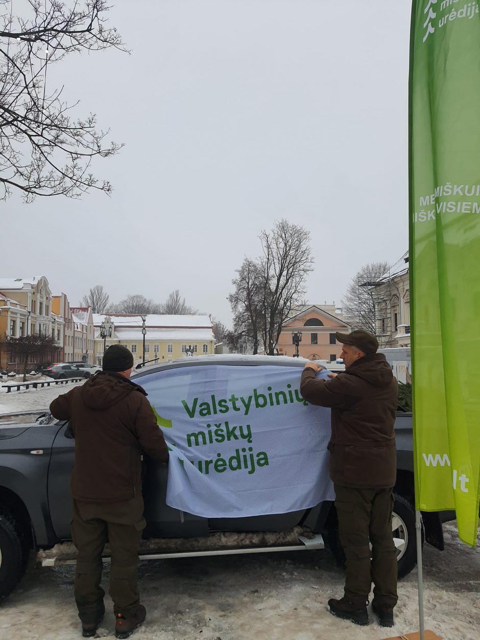 Miškininkų dovanos gyventojams – išdalino tūkstančius eglių šakų