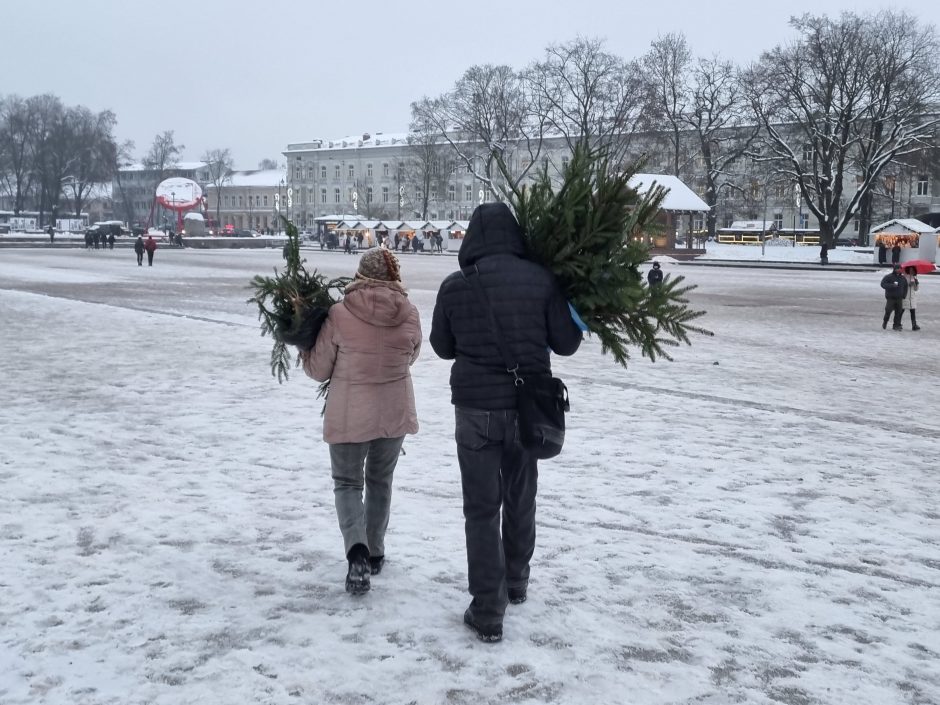 Miškininkų dovanos gyventojams – išdalino tūkstančius eglių šakų