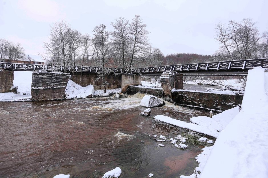 Atliko tyrimą: nustatytos užtvankos, darančios didžiausią žalą gamtai