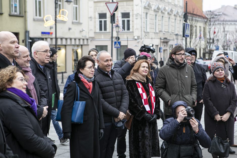 Pirmininkavimą ES perėmusi Kroatija žada padėti dėl Mobilumo paketo