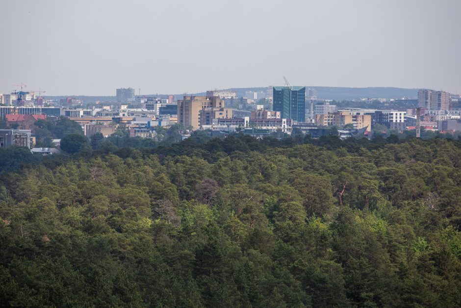 Patiks ne tik bėgikams: pristatė šimto kilometrų maršrutą aplink sostinę