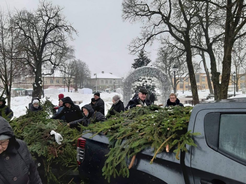 Miškininkų dovanos gyventojams – išdalino tūkstančius eglių šakų