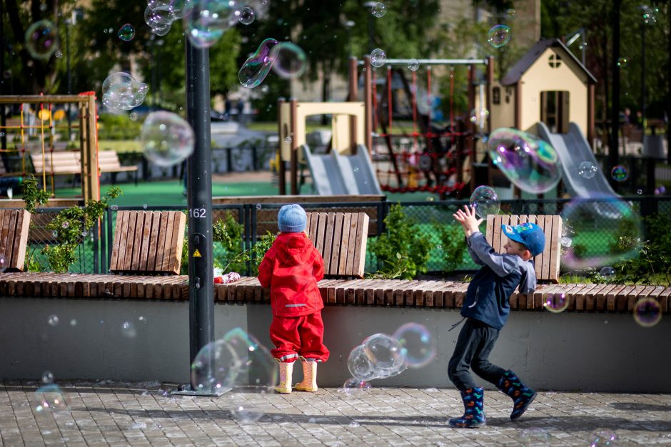 Siūloma palengvinti šeimynų steigimą, didinti finansavimą