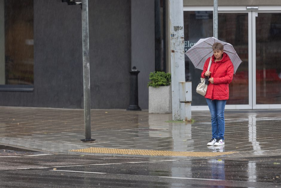 Lietingas antradienis: vietomis iškrito daugiau nei du trečdaliai mėnesio lietaus normos