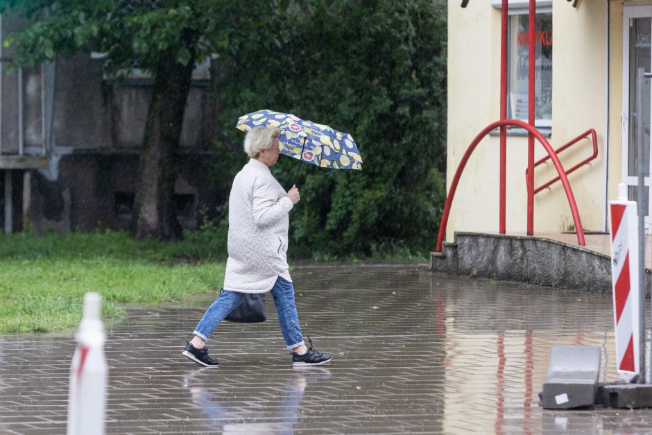 Lietingas antradienis: vietomis iškrito daugiau nei du trečdaliai mėnesio lietaus normos