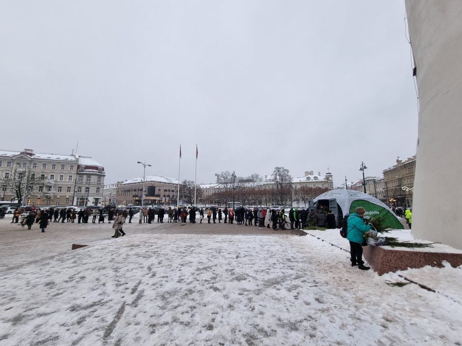 Miškininkų dovanos gyventojams – išdalino tūkstančius eglių šakų