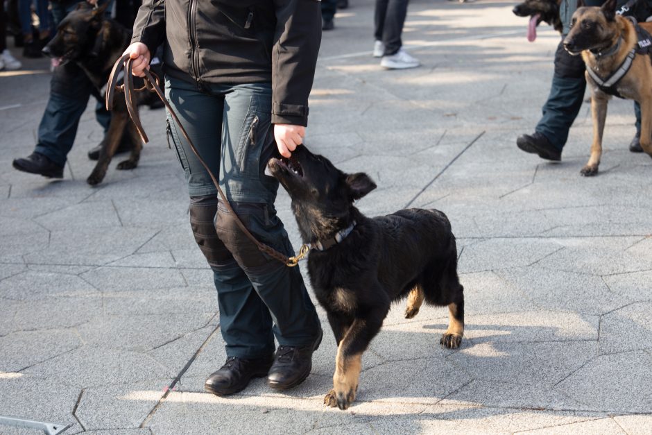 Kaune – didžiulė policijos šventė: pasitiko pramogų gausa