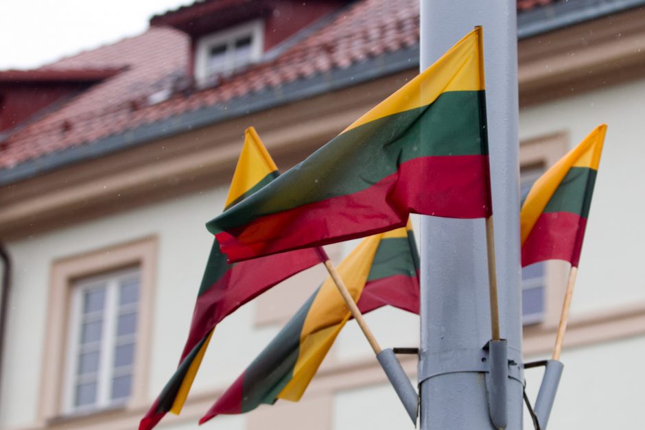 Vilniaus rajone išniekinta valstybinė vėliava
