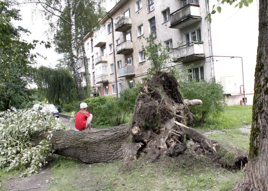 Kaip apsaugoti namus siaučiant vėtrai?