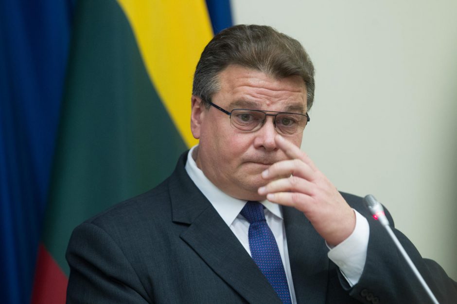 L. Linkevičius: Molotovo-Ribentropo pakto istorinė pamoka nebuvo išmokta