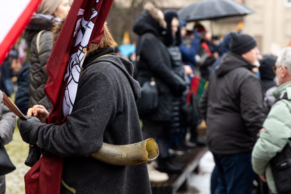 Sausio 13-osios minėjimas – triukšmingas: premjerė kalbą sakė su ašarom, protestuotojai rėkė „Gėda!“