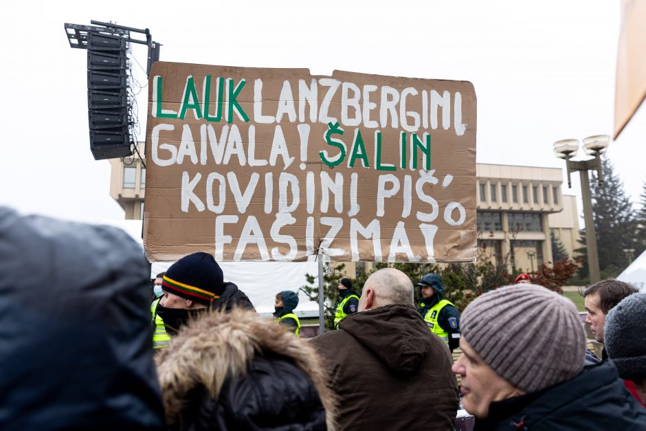 Sausio 13-osios minėjimas – triukšmingas: premjerė kalbą sakė su ašarom, protestuotojai rėkė „Gėda!“