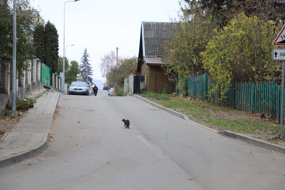 Šnipiškėse tvarkomos gatvės: pėstieji ir dviratininkai jausis patogiai