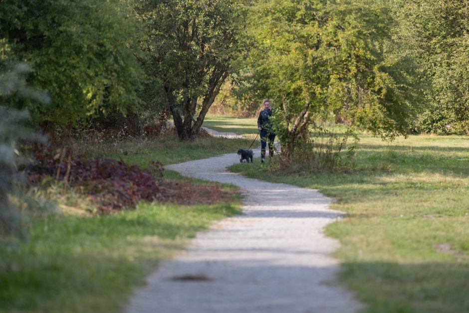 Dėl įgyvendinimo susirungs per 150 vilniečių pasiūlytų aplinkos gerinimo idėjų