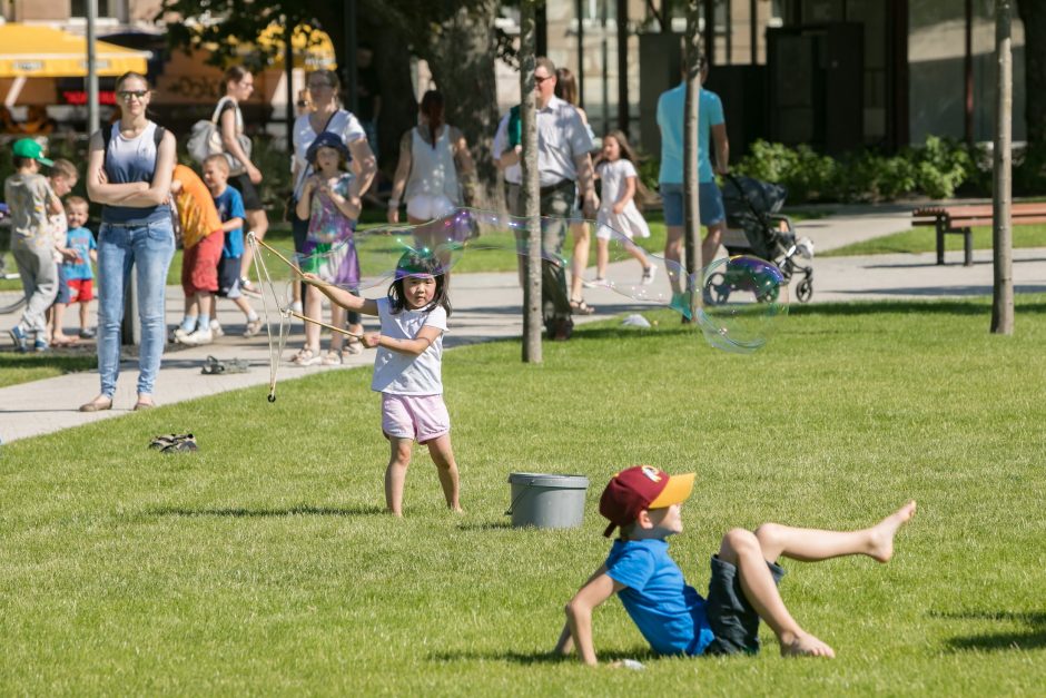 Vilnius kviečia švęsti 15-ąsias Lietuvos įstojimo į ES metines