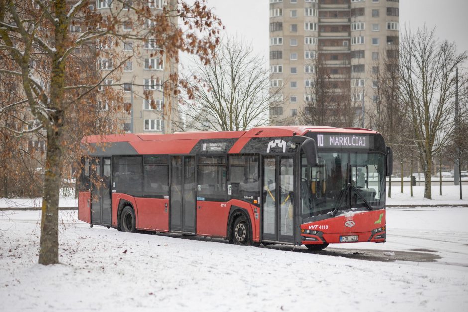 Į Vilniaus Kalėdų eglės įžiebimą viešasis transportas veš nemokamai